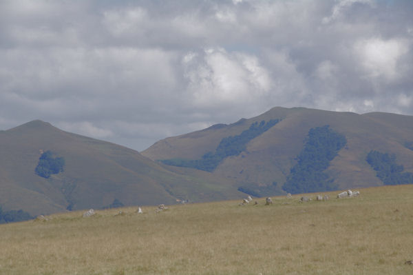 Deux cromlechs  Occab, au fond, les Pics Mendibel et Chardica