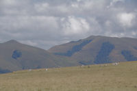 Deux cromlechs  Occab, au fond, les Pics Mendibel et Chardica