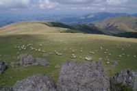 Les Cromlechs du Sommet d'Occab