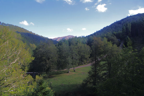 Vers le Chalet forestier de Soule