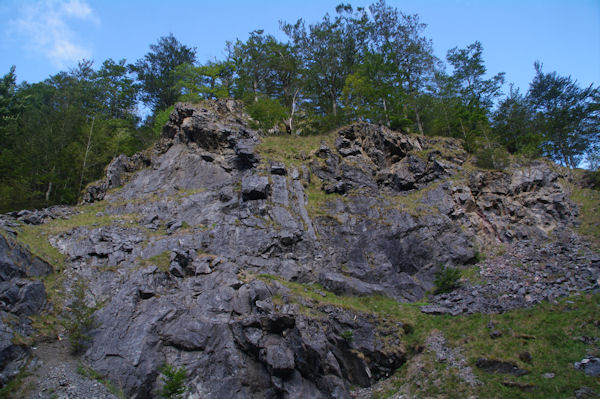 Akerharri