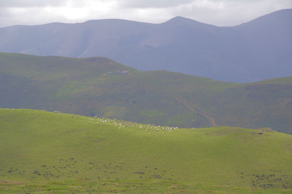 Lignes de crtes