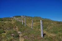 Les crtes Est du Puy du Rocher