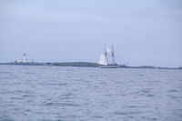 Un vieux greement devant l'Ile aux Moutons