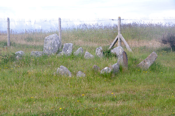 Un cromlech sur l_Ile de St Nicolas