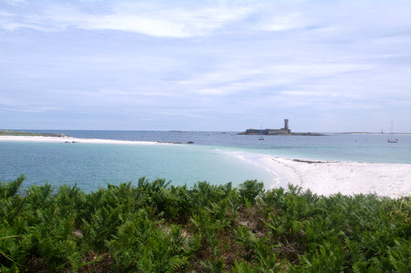 L_Ile Cigogne au centre