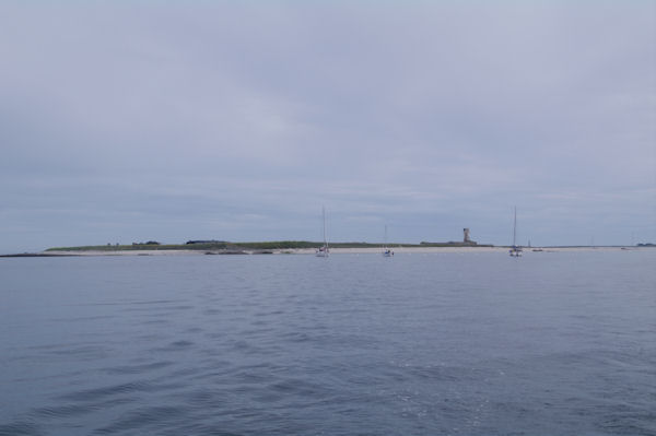 L_Ile Cigogne au Glnan