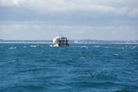 Un chalutier dans la baie de Quiberon