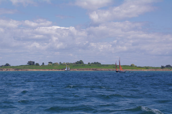 Des vieux grement devant l_Ile Godec dans le Golfe du Morbihan