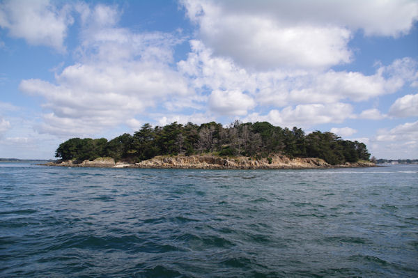 L_Ile Longue dans le Golfe du Morbihan