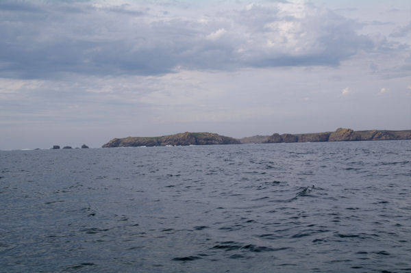 L_Ile Seniz