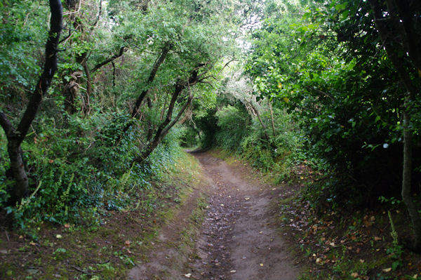 Le chemin cotier vers la cte d_Hno