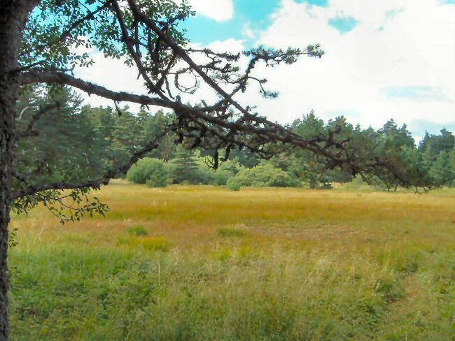 Le Lac de l'Oeuf