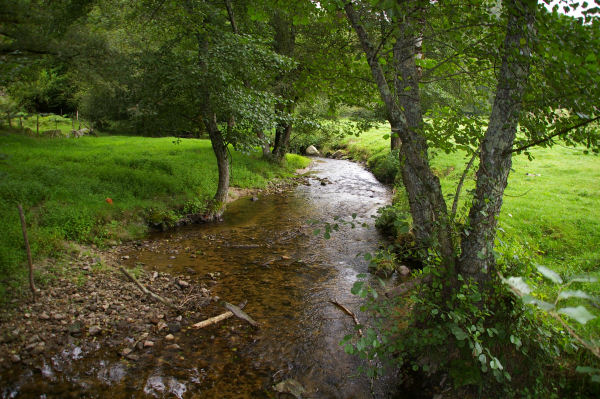 Le ruisseau de Daze  la sortie d'Espeyrac