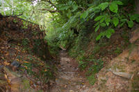 Le chemin de descente sur Conques