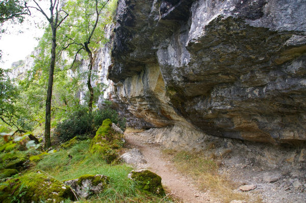 Le GR651 en balcon au dessus de la valle du Cl entre Le Causse et Brengues