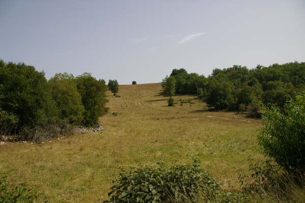 Dans la Combe du Pech de la Cal