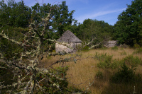 Une cazelle vers Combe de Garric