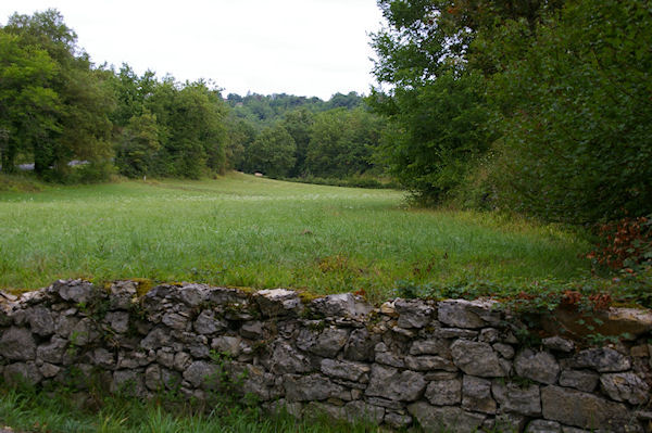 Vers Sous Arbouis sur le GR66