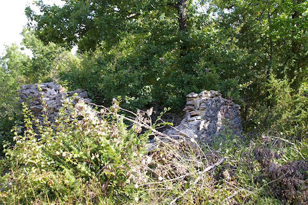 Une Gariote ruine sur la crte de Cayrol
