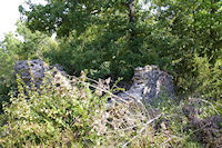 Une Gariote ruine sur la crte de Cayrol