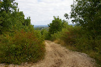 Le chemin au Cayrol