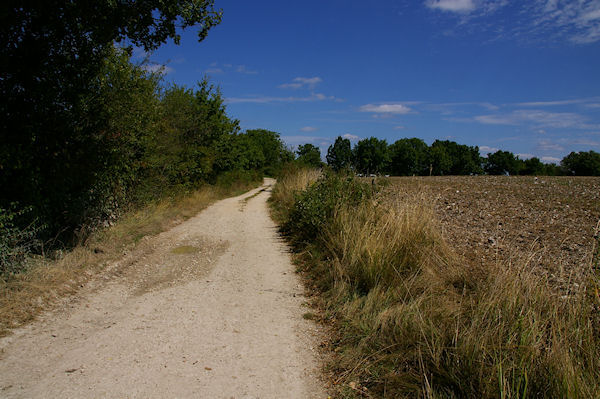 Le GR65 vers Font Maurine