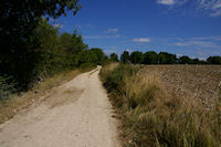 Le GR65 vers Font Maurine