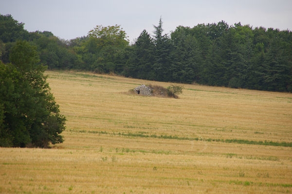 Une Gariote sur le GR65 vers Cantegord