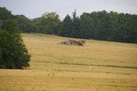 Une Gariote sur le GR65 vers Cantegord