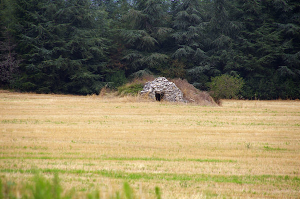 Une Gariote sur le GR65 vers Cantegord