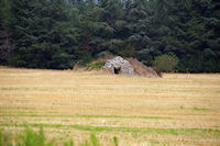 Une Gariote sur le GR65 vers Cantegord