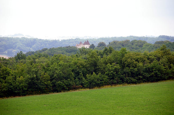 Les Tours du Chateau de Charry