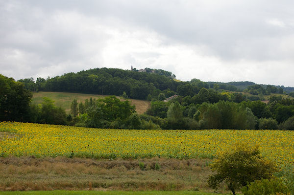 Paysage vers Les Grzes sur le GR65