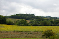 Paysage vers Les Grezes sur le GR65