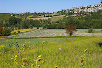 Effet de fleurs sur fond de Lauzerte