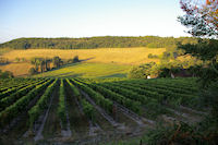 Lev de soleil vers Montlauzun