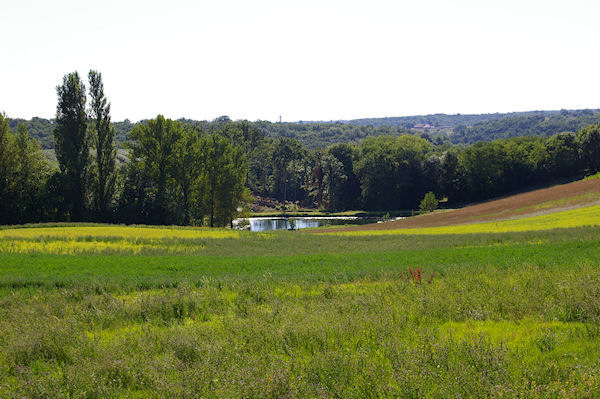 Un laquet entre Durfort Lacapelette et St Martin