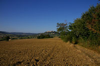 Lauzerte depuis le GR65 entre Monjoie et St Paul