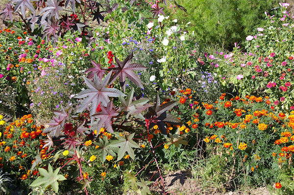 Compositions colore aux Bordes