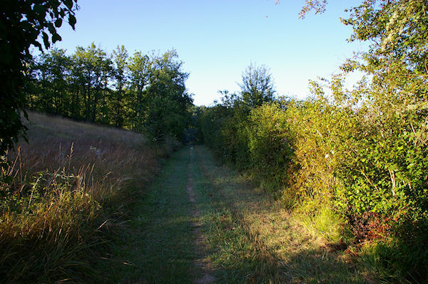 En longeant le Laujol