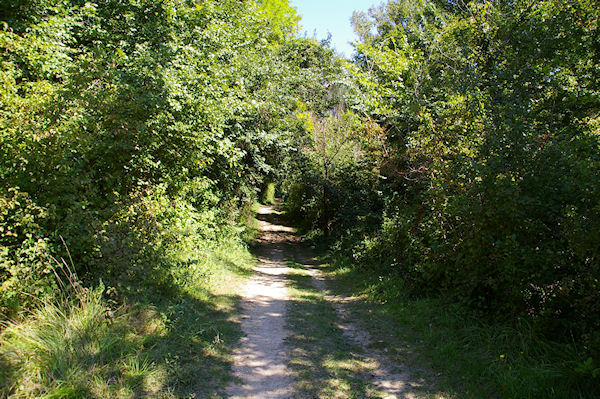 Dans le vallon du Ruisseau Profond