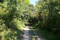 Dans le vallon du Ruisseau Profond