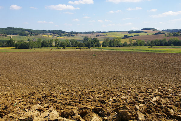 La Plaine depuis le GR65 vers St Antoine sur l'Arrats