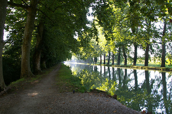 Le Canal Latral  la Garonne  Pommevic