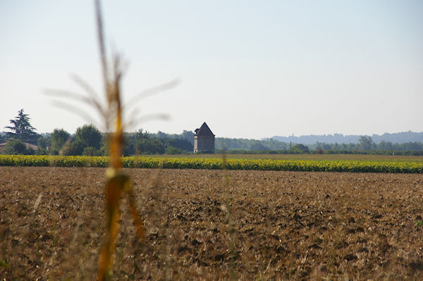 Le pigeonnier de Roques