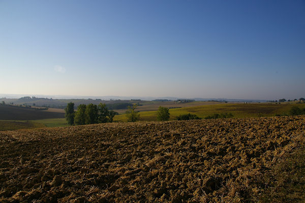 Paysage Gersois vers la valle de Montret