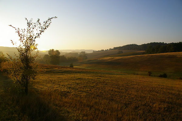 Le vallon de la Teulre au petit matin