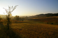 Le vallon de la Teulre au petit matin