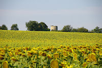 L'ancien Moulin de Perouar